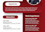 create a professional ats friendly resume and canva CV